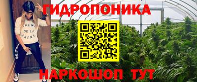 СК Конаково